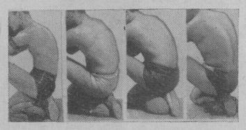 Изгиб спины, способствующий перенесению веса туловища на позвоночный столб