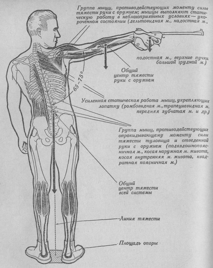 Схема изготовки при чрезмерно выпрямленном теле стрелка