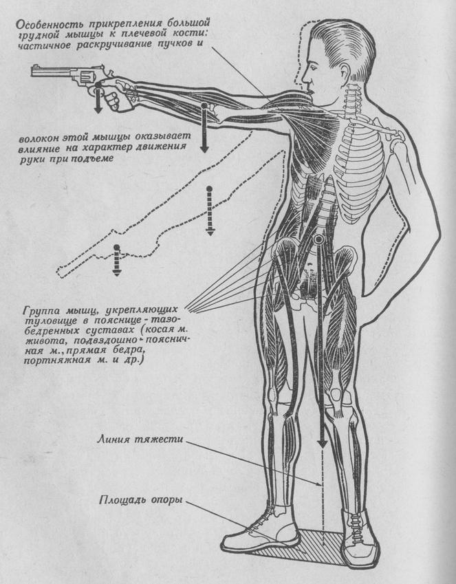 Схема изготовки для ускоренной стрельбы из револьвера (пистолета) по силуэту