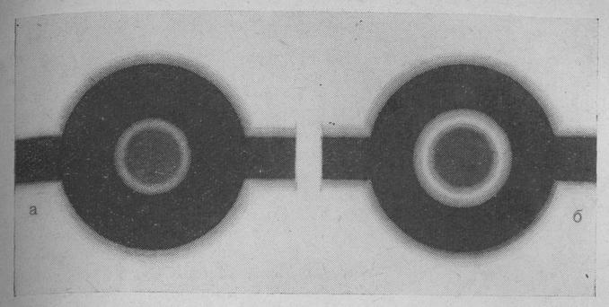 Схематическое изображение восприятия глазом кольцевой мушки в условиях яркого освещения мишеней