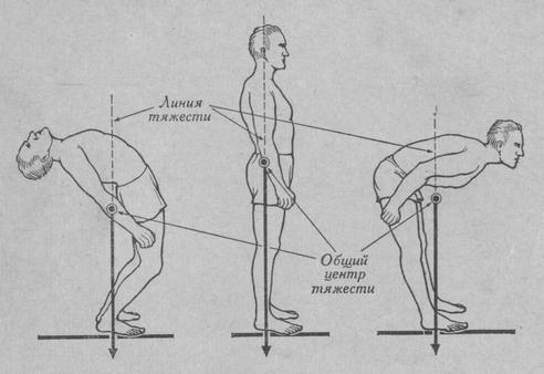 Местонахождение общего центра тяжести тела в различных позах